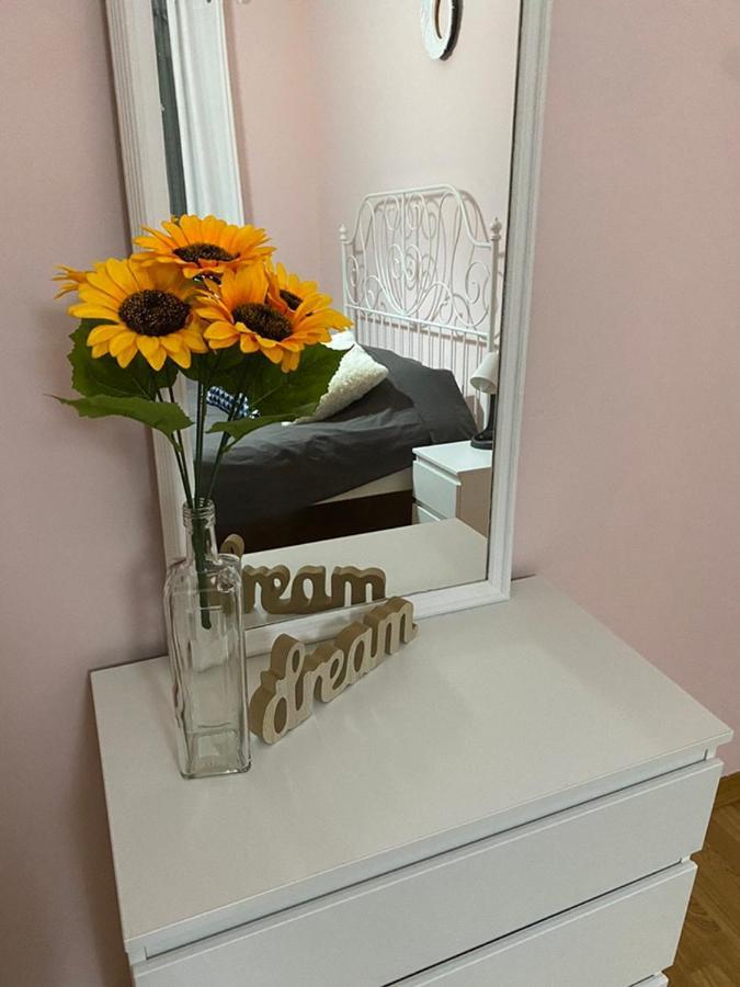 נובי סאד Apartment Sunflower021 מראה חיצוני תמונה
