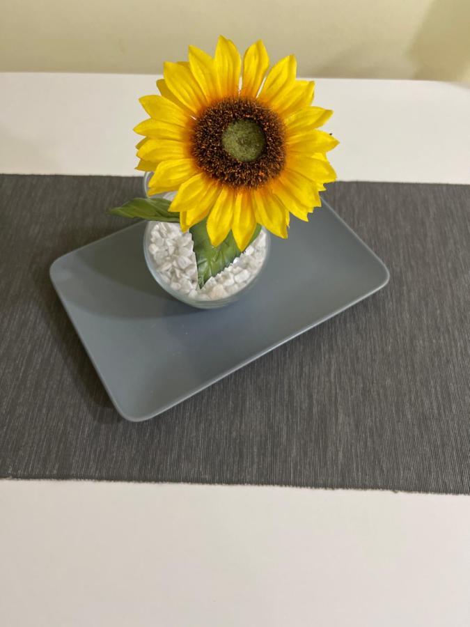 נובי סאד Apartment Sunflower021 מראה חיצוני תמונה